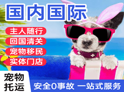 张家界机场空运国际宠物托运 【国